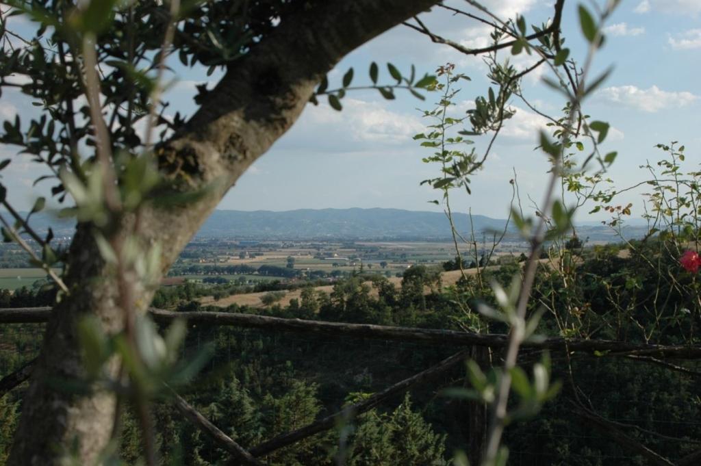 Castel D'arno Country house *